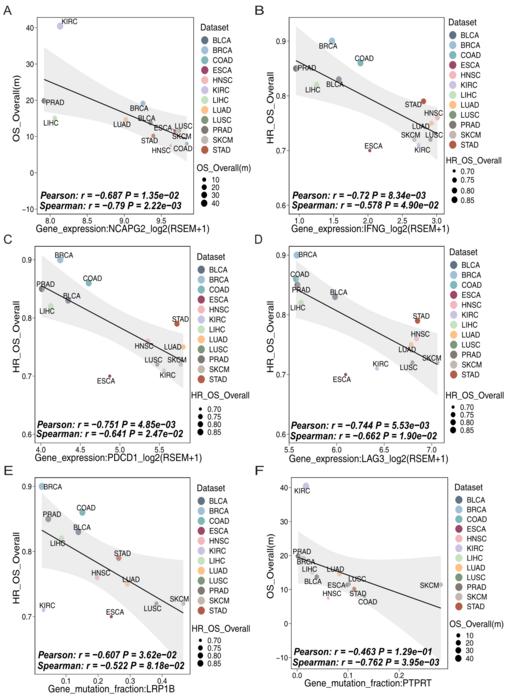 Association analysis between ICI efficacy data and multi-omics data (1)