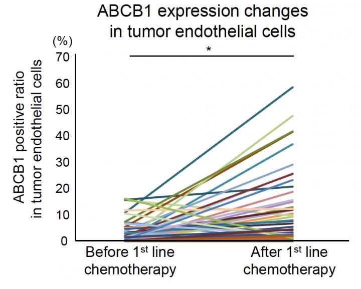 ABCB1 Expression Increases After Chemotherapy