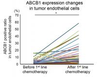 ABCB1 Expression Increases After Chemotherapy