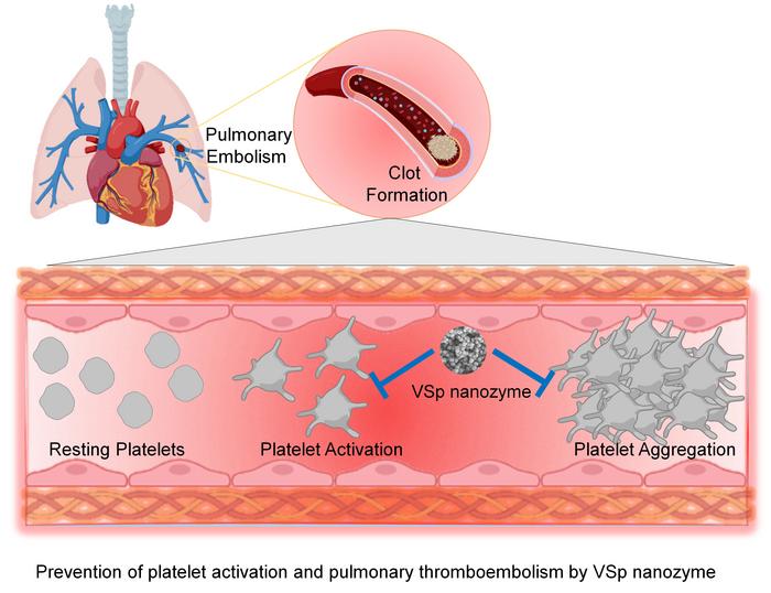 Prevention of platelet activation and pulmonary thromboembolism by VSp nanozyme