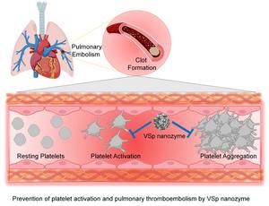 Prevention of platelet activation and pulmonary thromboembolism by VSp nanozyme