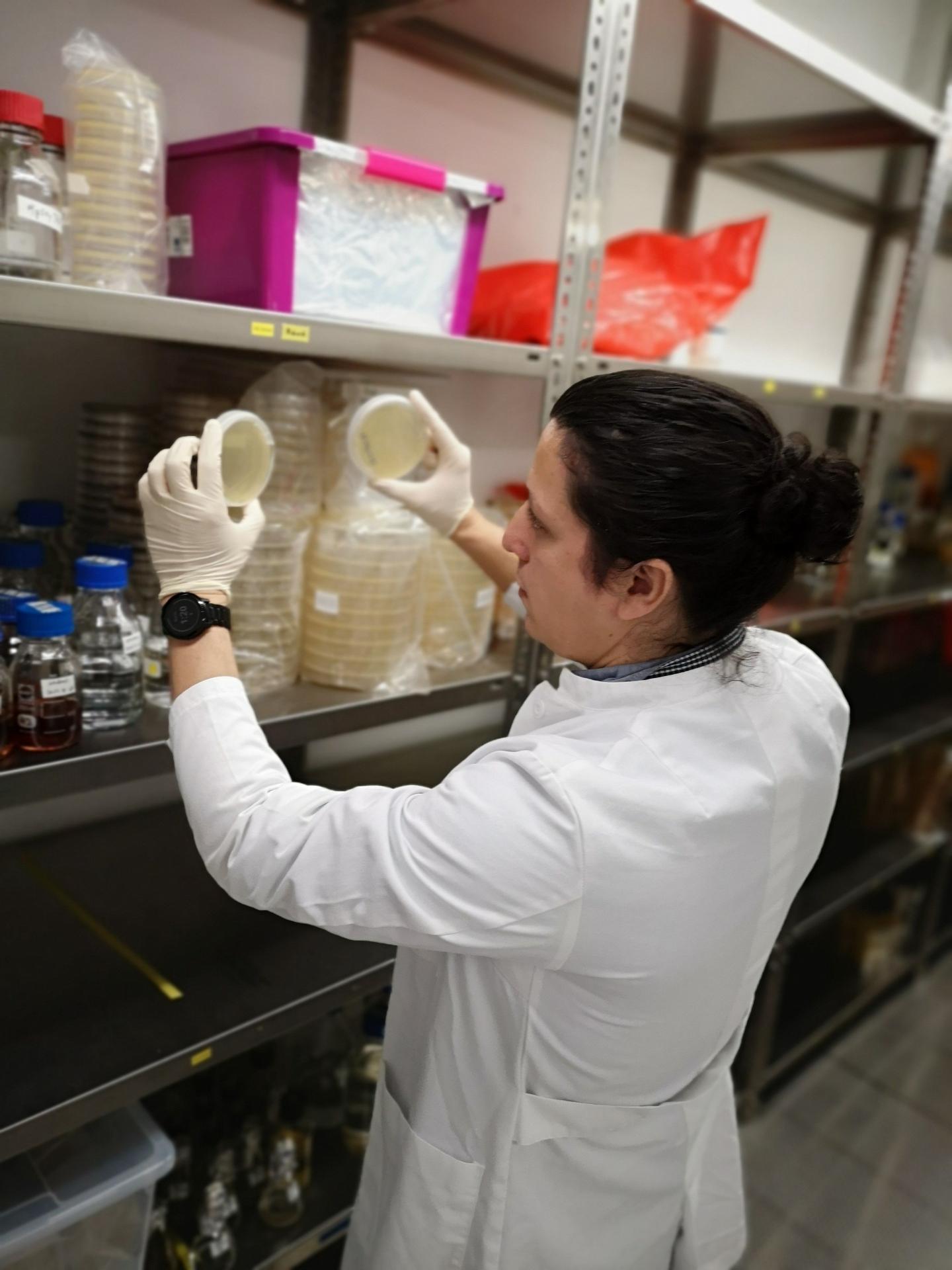 Researchers Track down New Biocatalysts (1 of 2)