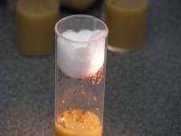 Fruit Flies in a Vial