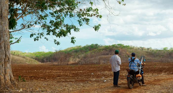 Sakbe - Roads of Life in the Maya Forest