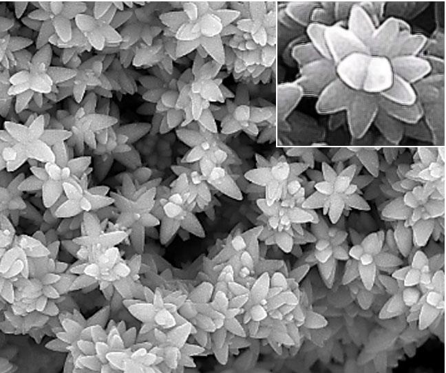 Surface
