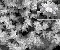 Surface