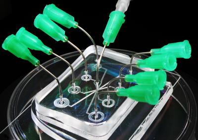 Lab on a Chip Device