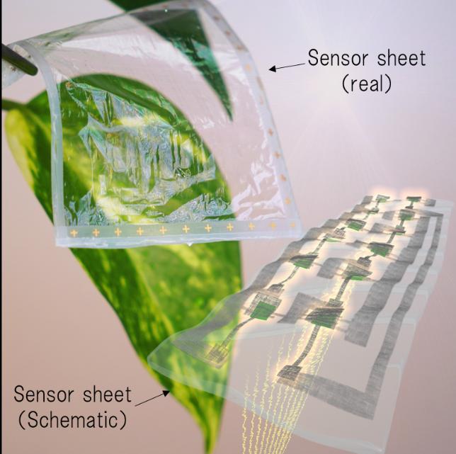 Figure 1.