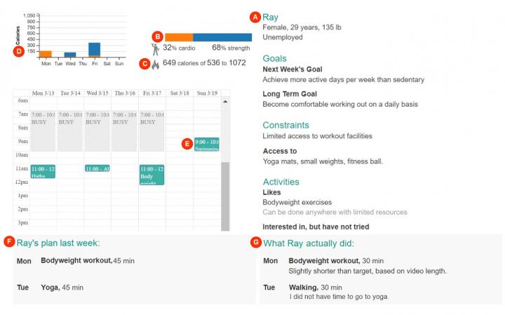 CrowdFit 2