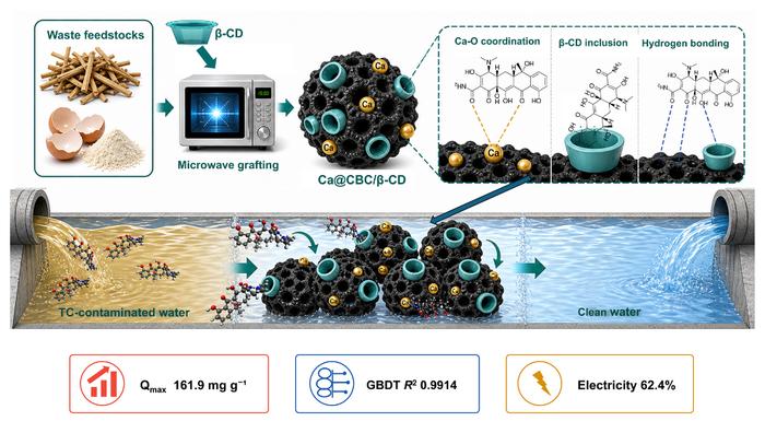 Microwave-assisted β-cyclodextrin modified calcium-rich biochar for tetracycline removal from wastewater: mechanistic, machine learning, density functional theory calculations and life cycle assessment