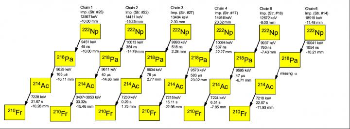 </span><span>Correlated α-decay chains of <sup>222</sup>Np observed in the present work