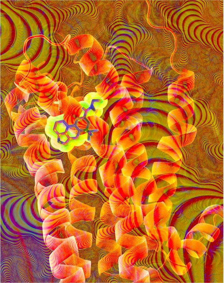 Structure of LSD and Receptor
