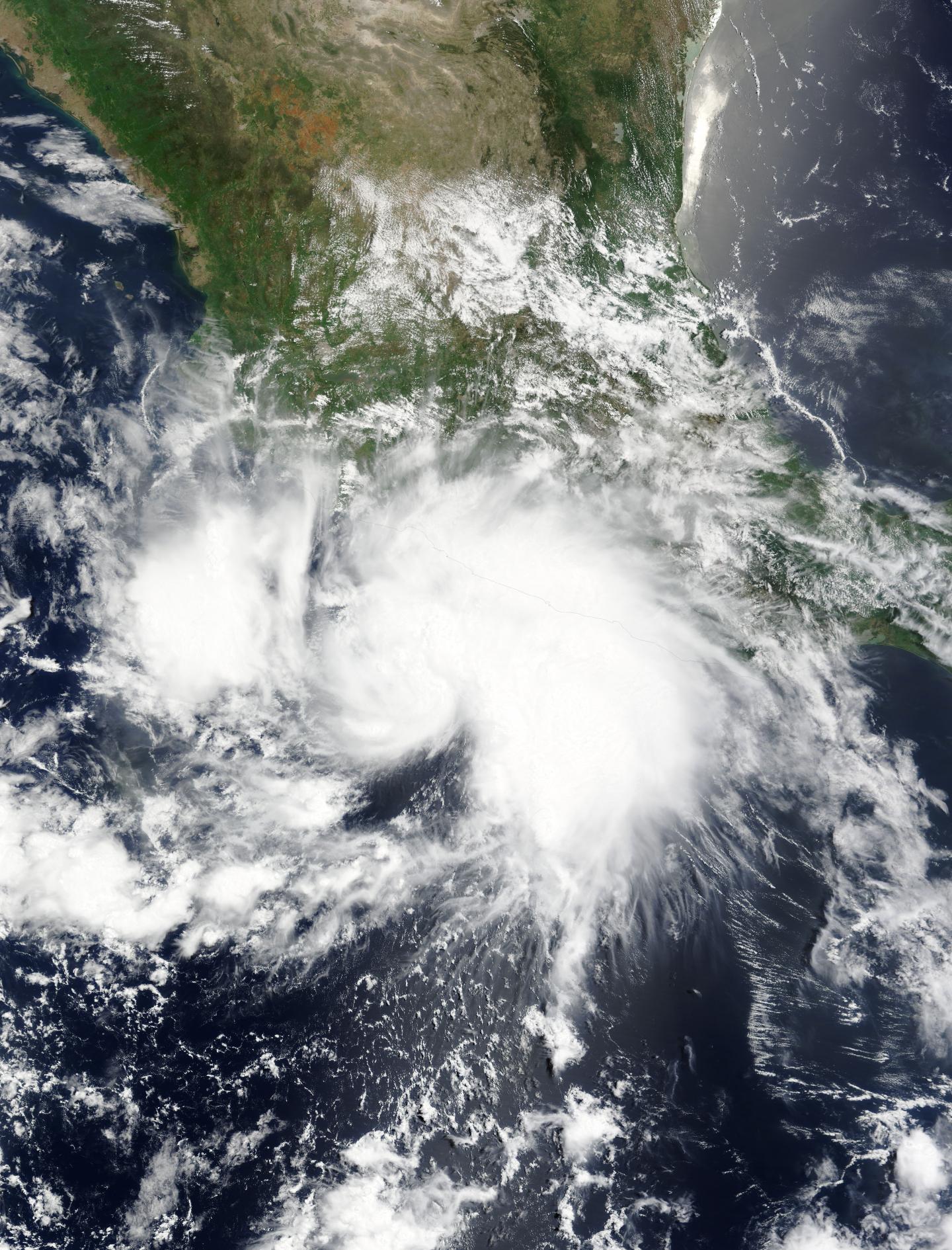 Terra Image of Dolores
