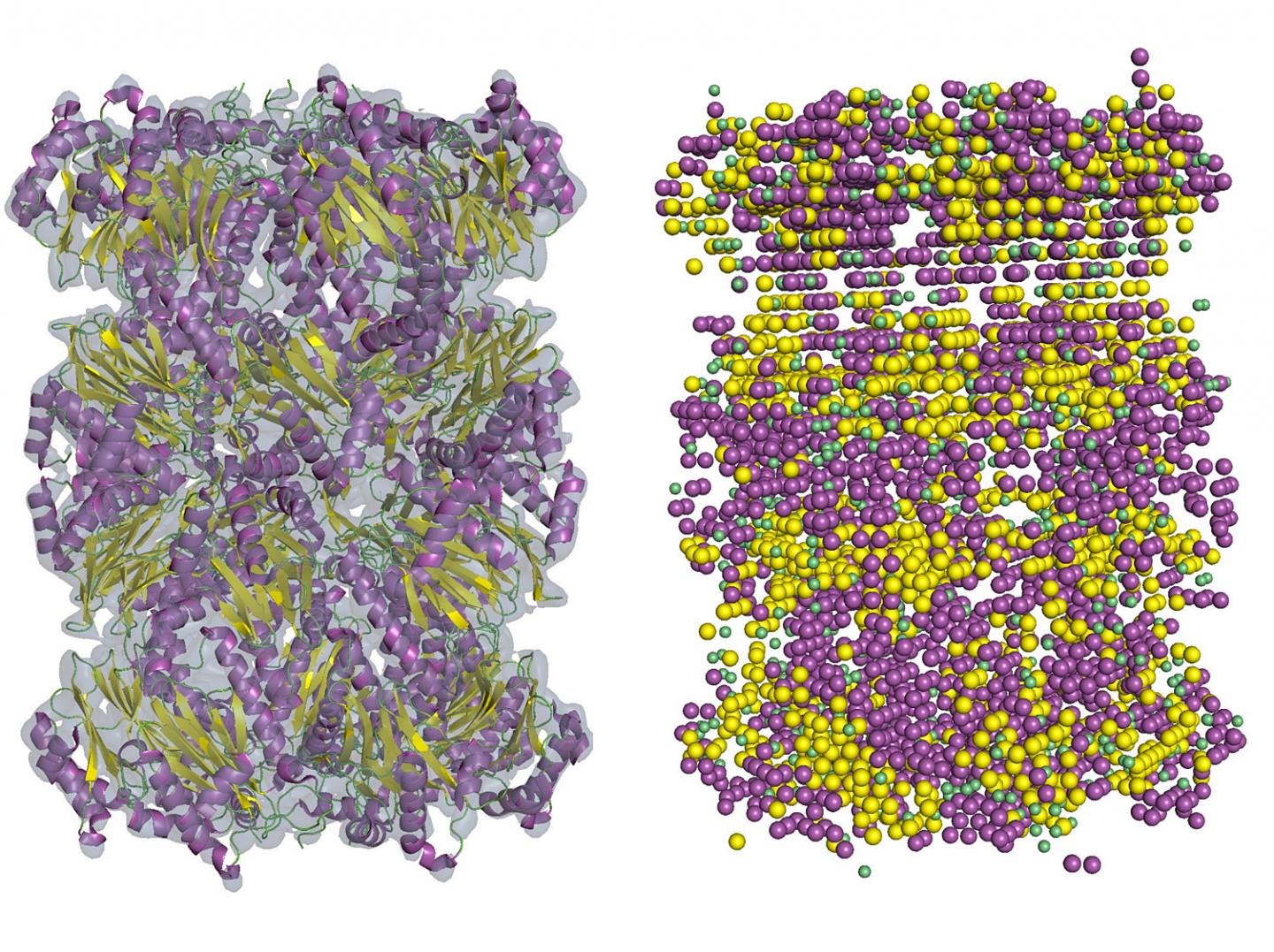 Improved Protein Structure Detection