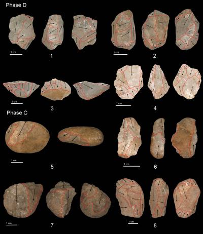 Mircoliths