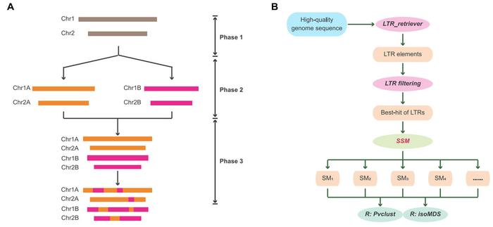 Schematic overview of the SSM method.