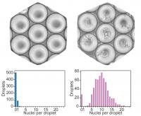 Microfluidic chips