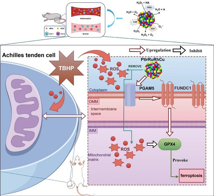 Multi-Mechanistic PtIrRuRhCu High-Entropy Alloy Nanozyme Mitigates Tendinopathy via ROS Scavenging, Mitophagy Restoration, and Ferroptosis Suppression through the PGAM5/FUNDC1/GPX4 Pathway