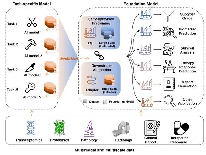 Computational pathology in precision oncology: evolution from task-specific models to foundation models.