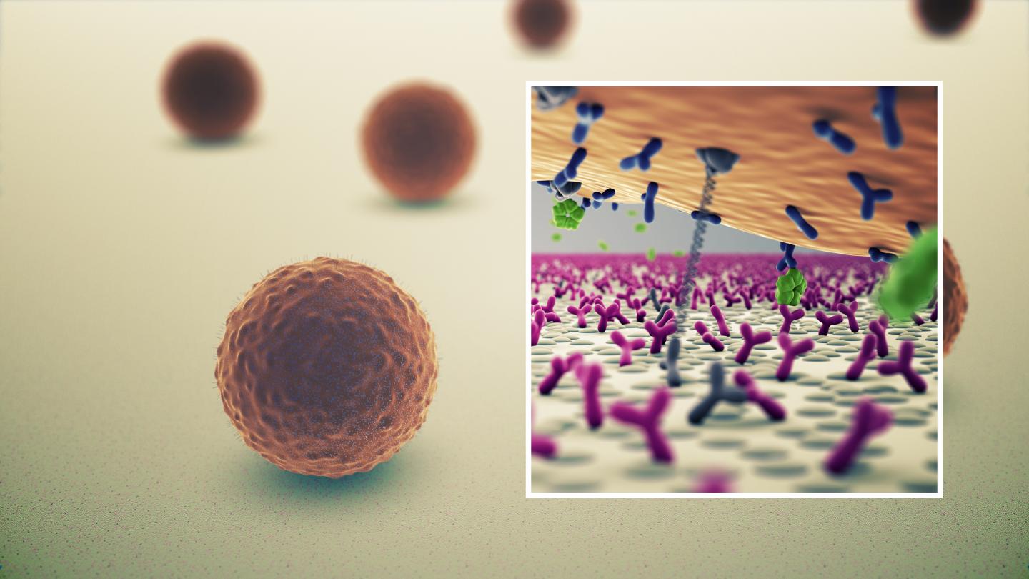 A Computer Image of the Particles