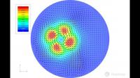 Simulations of How the Polyp Works