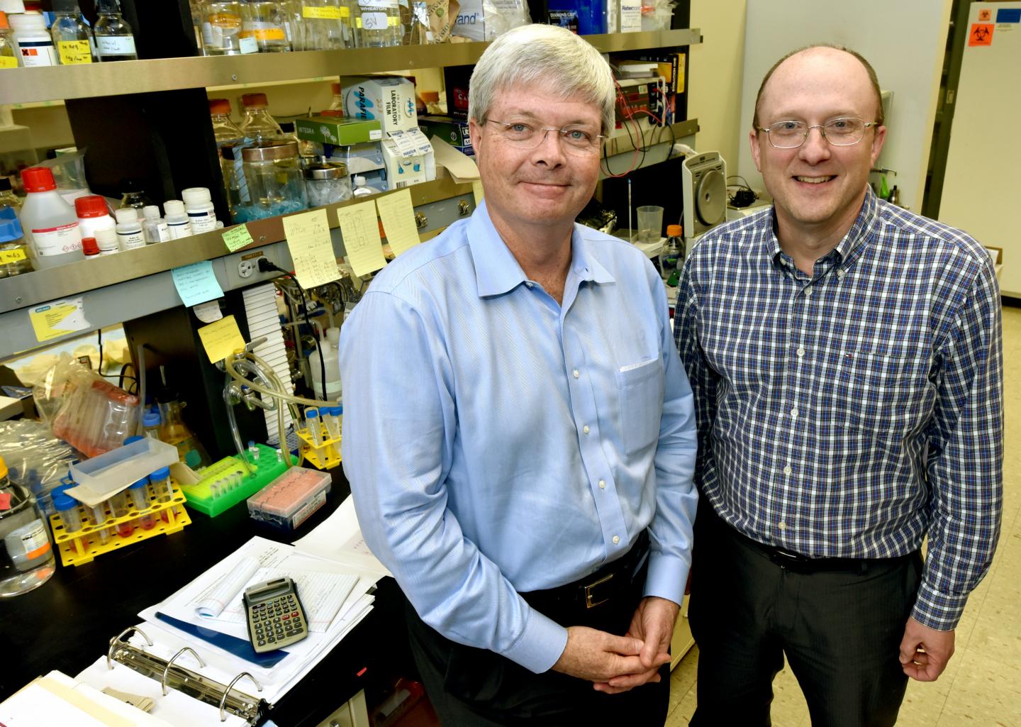 Herbert Virgin and Thad Stappenbeck, Washington University School of Medicine