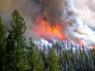 Tripod Fire of 2006