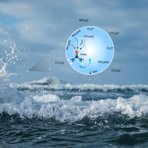 Graphical representation of urea formation in a droplet