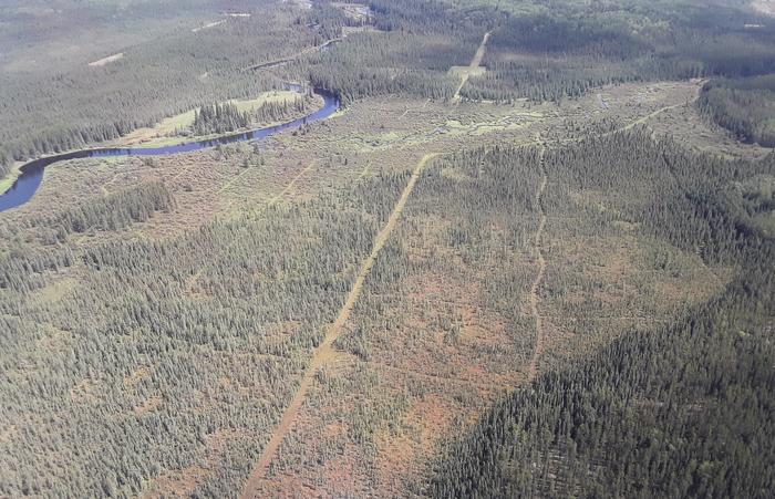 Seismic Lines