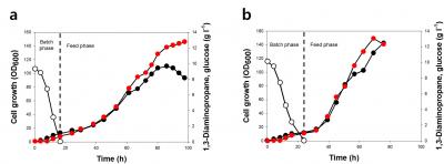 Fed-batch Fermentation Profiles of Engineered <i>E. coli</i> Strains