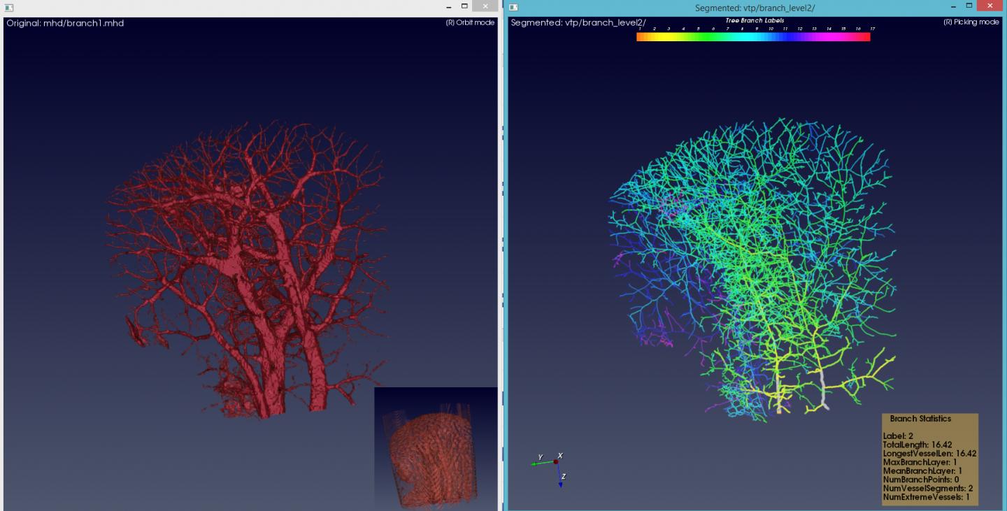 Screenshot of Software