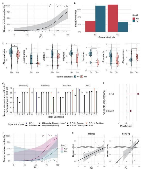 Performance of Fatty Liver Index (FLI) and microbiota profiling in classifying severe steatosis (≥302 dB/m) among patients with measured steatosis severity (n=49).