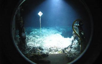 Hydrothermal Vent Field