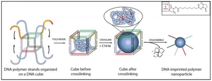 Novel Polymer