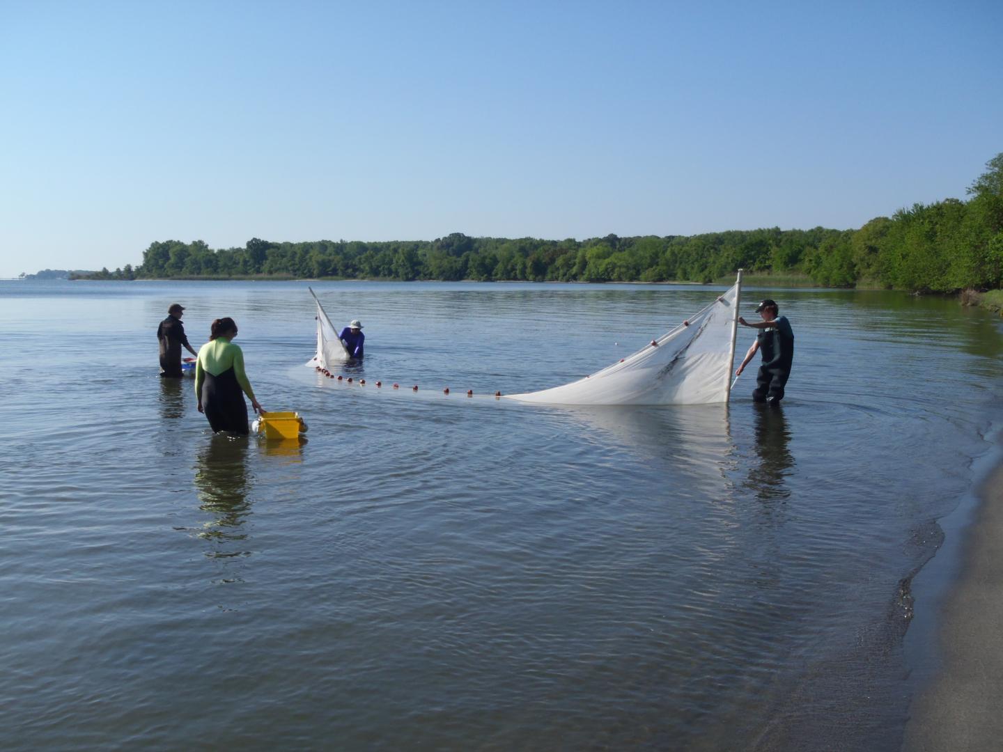 Rhode River