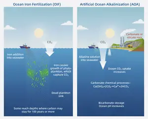 Illustrative diagram of ocean iron fertilization and artificial ocean alkalinization