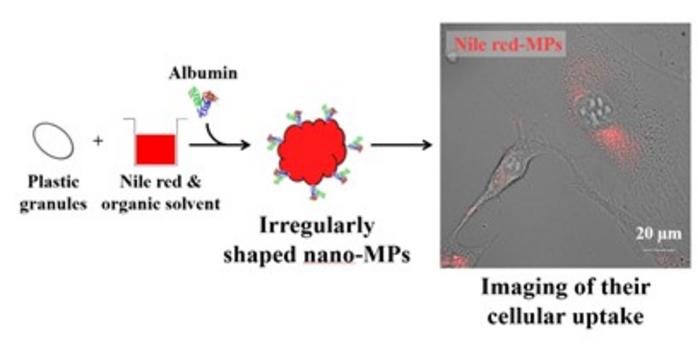 Nile red-loaded microplastics and their cellular uptake
