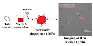 Nile red-loaded microplastics and their cellular uptake