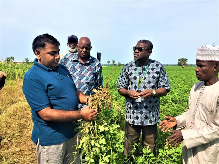 Prof Varshney inspects peanuts during a field visit in Nigeria