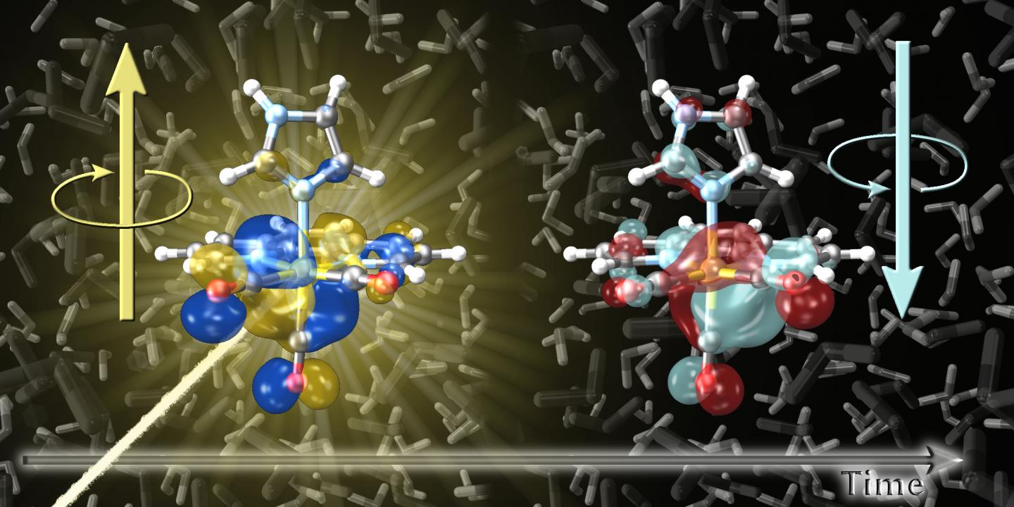 The Fast Dance of Electron Spins