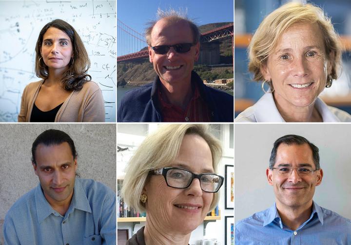 LBNL AAAS Fellows