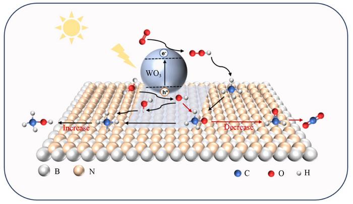 Schematic illustration of the proposed mechanism for the selective conversion of CH4 to CH3OH over WO3/BN-1:1