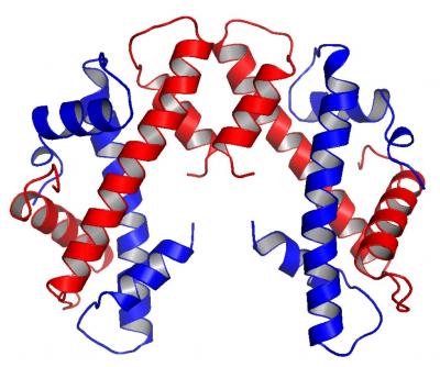 Centromere Histone Complex