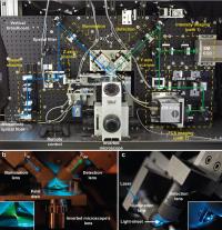 Molecules Millisecond by Millisecond