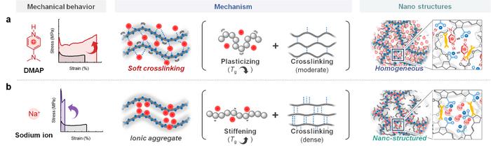 4-dimethylaminopyridine (DMAP) enables stronger, tougher glassy polymers