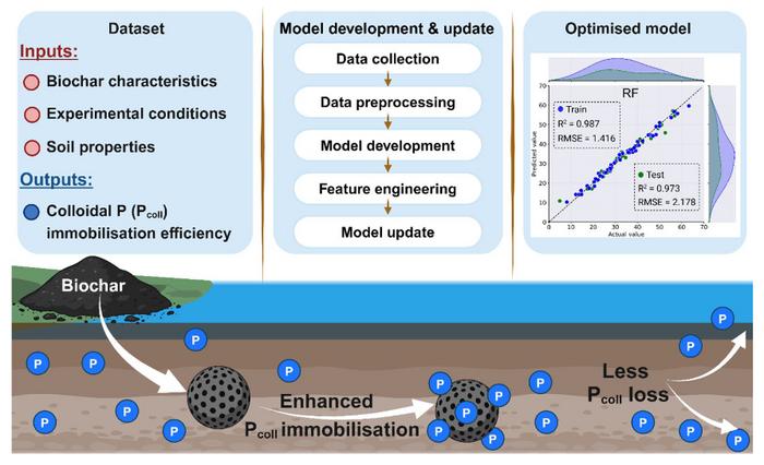 Machine learning-assisted model for predicting biochar efficiency in ...