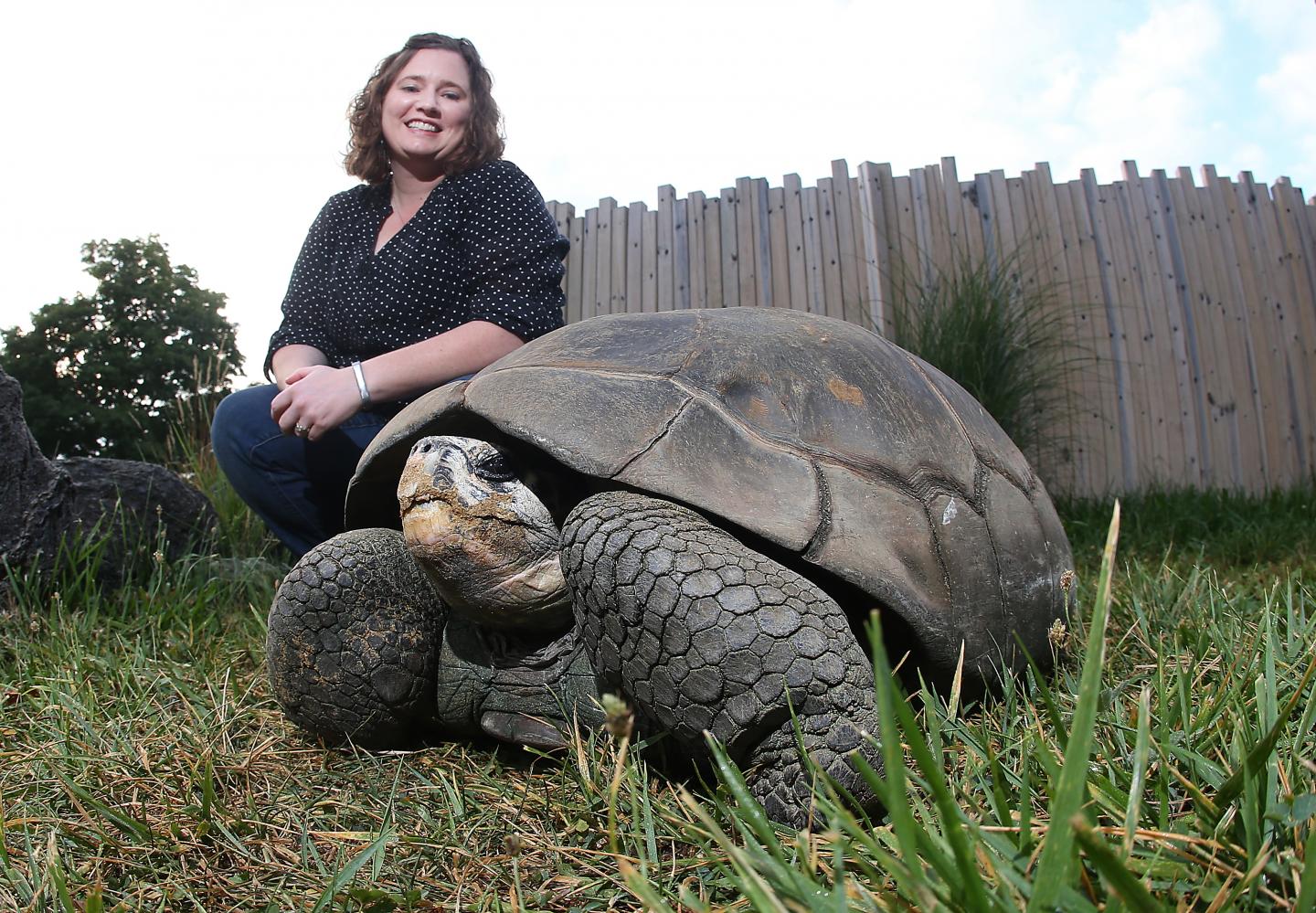 Loss of Genetic Diversity Can Predict Extinction Risk for Animals