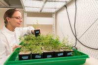 Prof. Gutjahr in the climate chamber