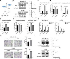 F. nucleatum activates tryptophan metabolism in triple-negative breast cancer (TNBC) cells and promotes cell invasion