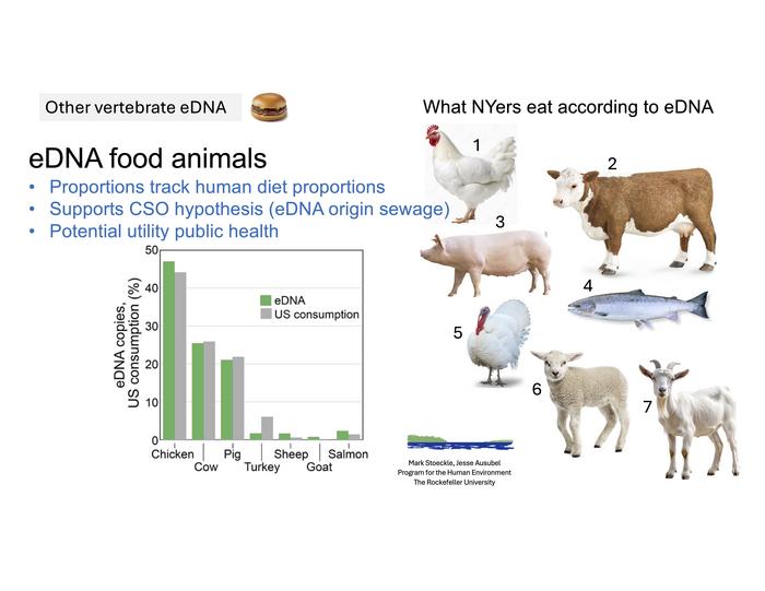 eDNA insights into NYC diets